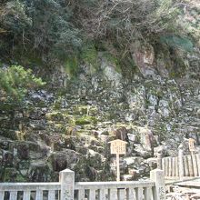 自然の神秘を感じます