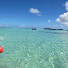 海の色が違いました！