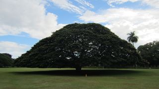 一度は行って良かった