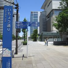 グランモール公園 いちょう通り