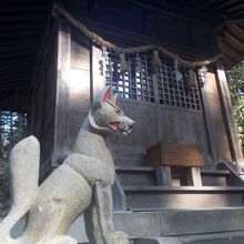 稲荷神社定番の狐像。