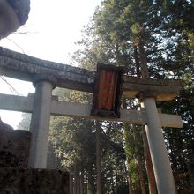 12年前とはまた違った印象を受け、日枝神社を後にしました。