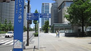 グランモール公園 いちょう通り