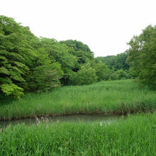 園内の池を望む