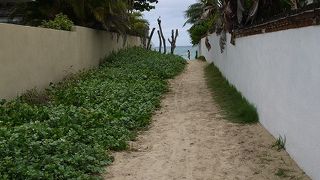 初めて来ました