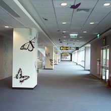 リニューアルされてきれいです。