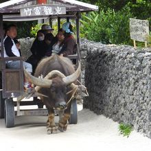 静かな街にそぐわない立て看板も…。
