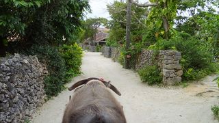 水牛車に揺られてのんびりと。