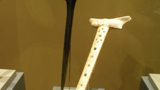 展示が充実している