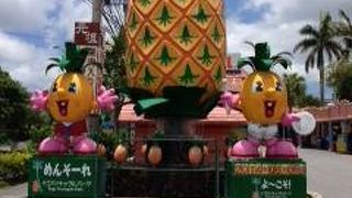 思いのほか楽しいパイナップル号