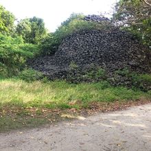 プズマリ全景。