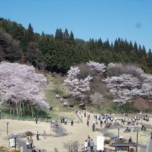 飛騨一ノ宮駅の階段からの臥龍公園全景。