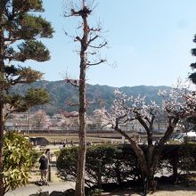 大幢寺境内からの臥龍公園とJR高山本線の眺め。