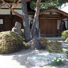 大幢寺本堂・書院玄関前のお庭。水仙の花がきれい。