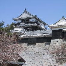 お城へ続く道は　広く　ゆっくりみえます。