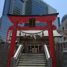 高層ビルを背景に・・・