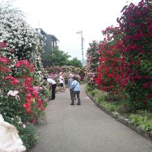 近くでも遠くからでも綺麗です