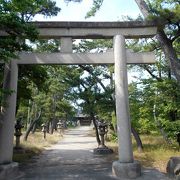 国道247号線沿いにある武豊町の松林が印象的な神社