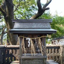拝殿左手の境内社、津島神社。