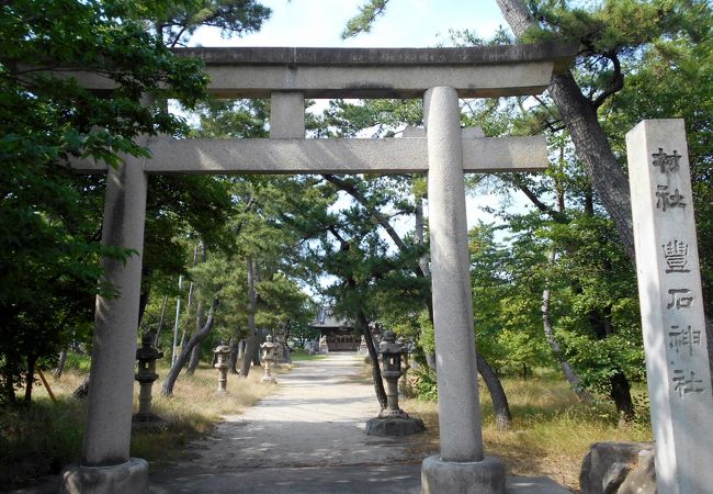国道247号線沿いにある武豊町の松林が印象的な神社