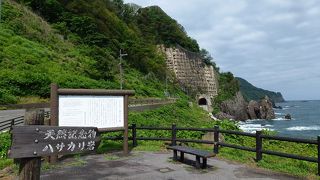 近くによって見ましょう。