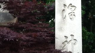 緑が多いので、夏場にちょっと涼みに行くと良いです。