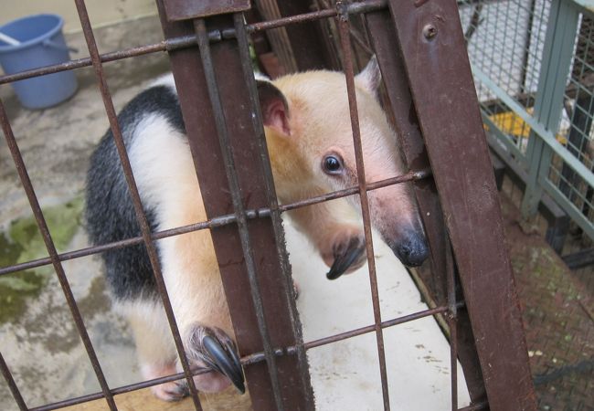 草津熱帯圏 クチコミ アクセス 営業時間 草津温泉 フォートラベル