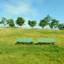 くつろぎ広場の景観。青空と緑の濃淡のグラデーションが美しい。