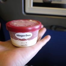 往路デザートのハーゲンダッツ