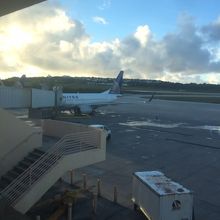 朝日が差してきました