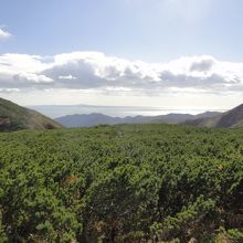 奥には海も見えます。