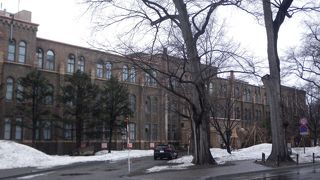 北海道大学の歴史も学べます