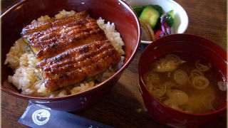 たまの贅沢！美味しいうなぎを！