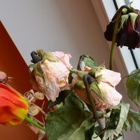 ドライフラワーのつもりかと思うが、見たくない感じだ