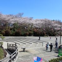 飛鳥山公園