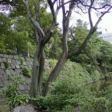 感慨深いですね。