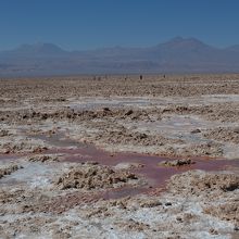 湖と言うより、塩が吹き出た荒地と言った感じのアタカマ塩湖。