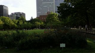 季節に合わせて楽しみたいですね。