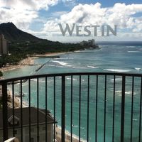 絶景です。眺望重視して良かった！