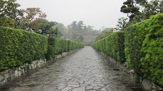 生垣と石畳がきれいです