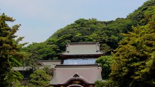 2014年6月　鶴岡八幡宮の本宮はただ今、修復中！