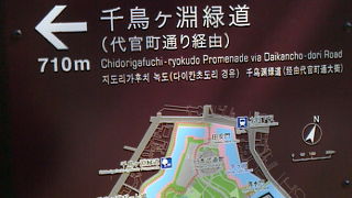 都会にあるさんぽみち。