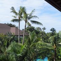 部屋からの眺め