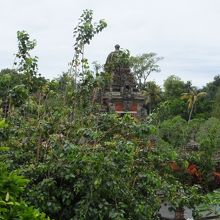 鐘楼からの眺め