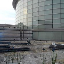 水のパティオ「白の風景展」?。