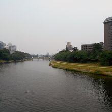 橋上からの東側の景観。右手に愛知県西三河総合庁舎があります。