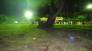 ラドフォードスクールの跡地は大神山公園