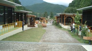 こんなところに動物園が・・・