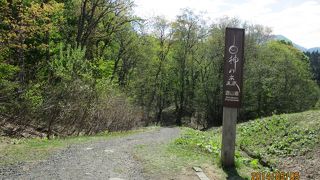 整備された遊歩道