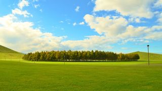 この公園おすすめです